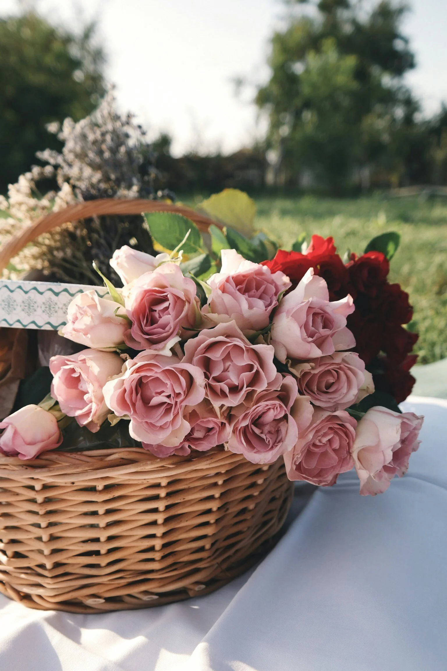 Pink and red roses in a woven basket placed on a white surface outdoors with blurred trees in the background.