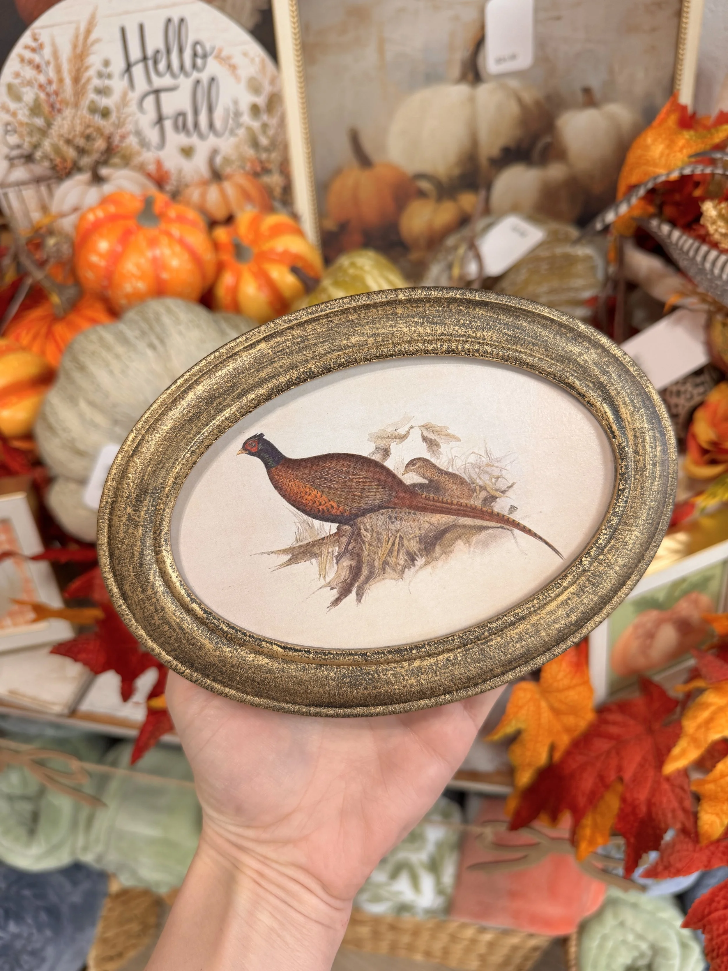 Pheasant Art