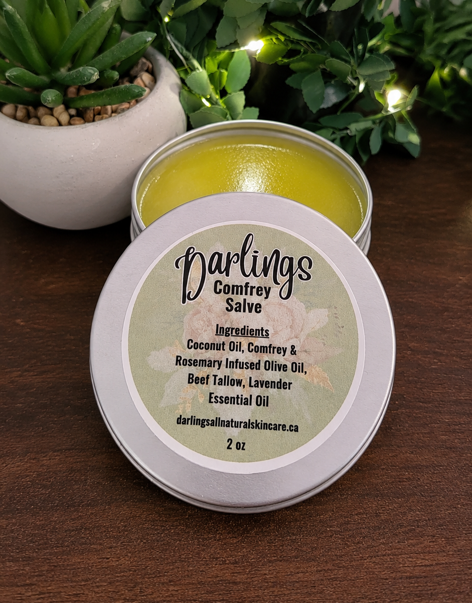 A tin of Darling's Comfrey Salve with ingredients listed on the lid, accompanied by two potted succulent plants on a wooden surface.
