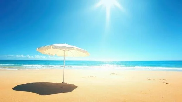 Sun Protector Lotion | 4 oz