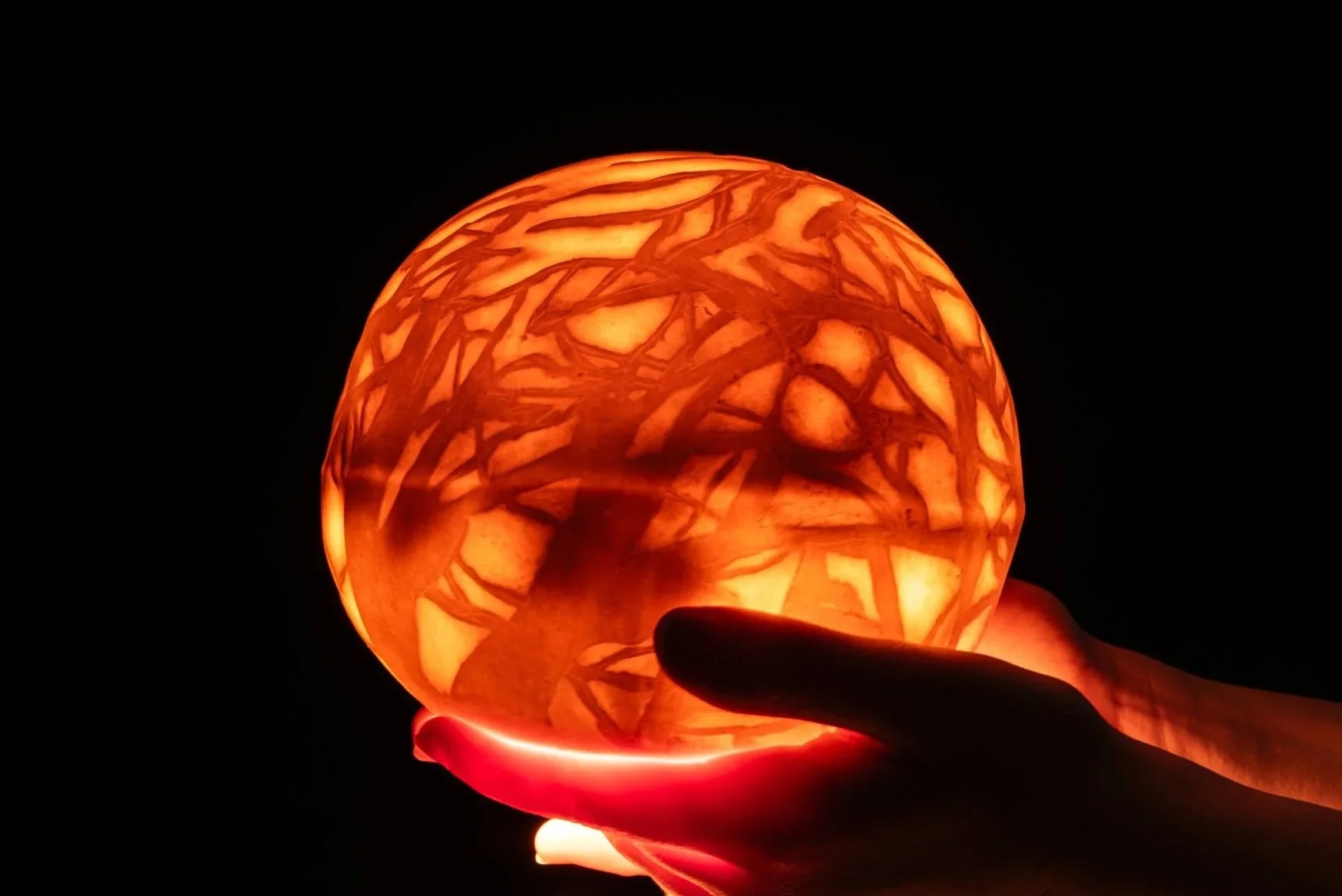 Canopy Glow