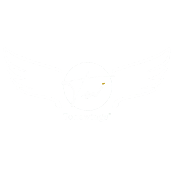 Logo with stylized clock and wings, with the word 'Tonewings' underneath.