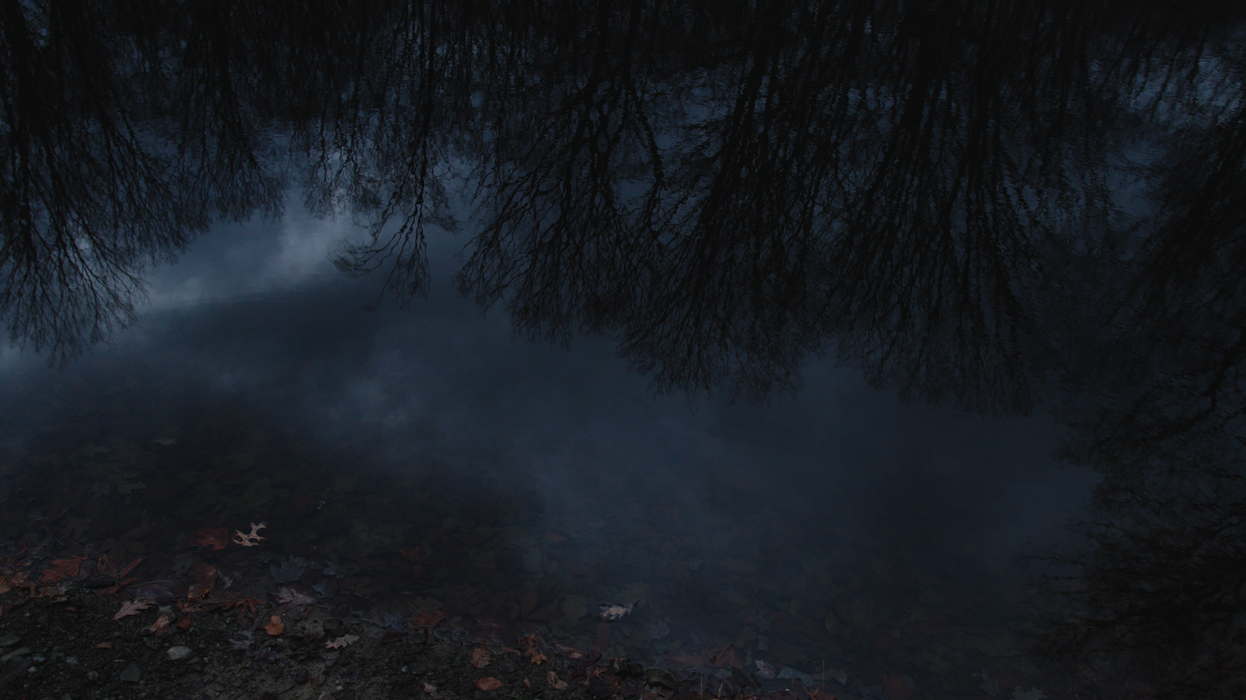 POND_ER_260723 order shift.00_04_17_03.Still002.png