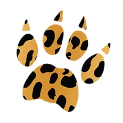 Valley Inquiry Charter School cheetah paw print logo