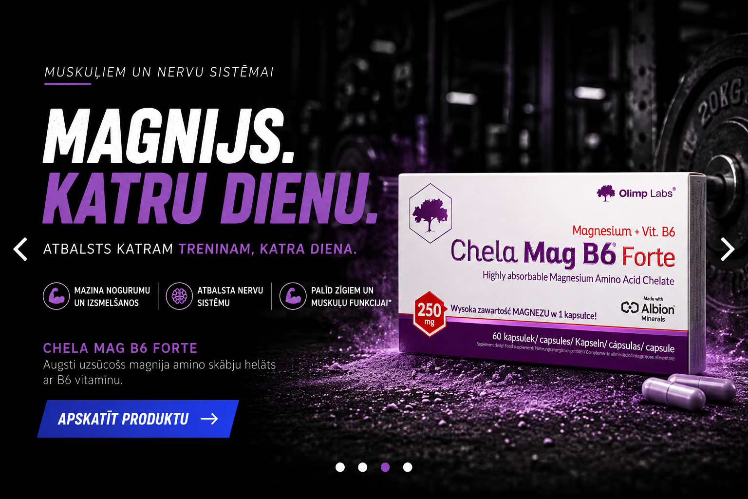 ChatGPT Image 2026. g. 12. aug. 21_18_40.png