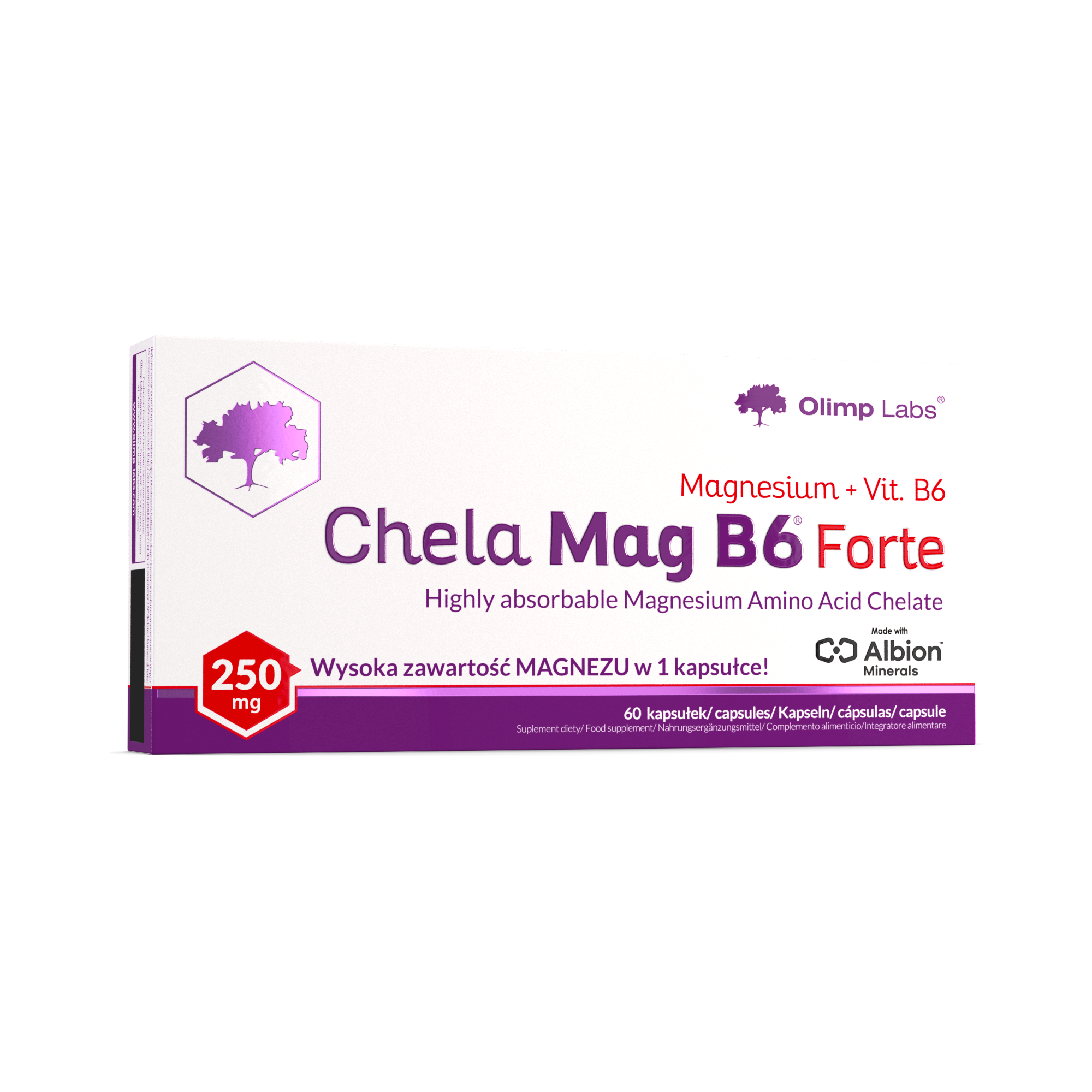 Chela_Mag_B6_Forte_60caps_FRONT_3D_2000x2000.png