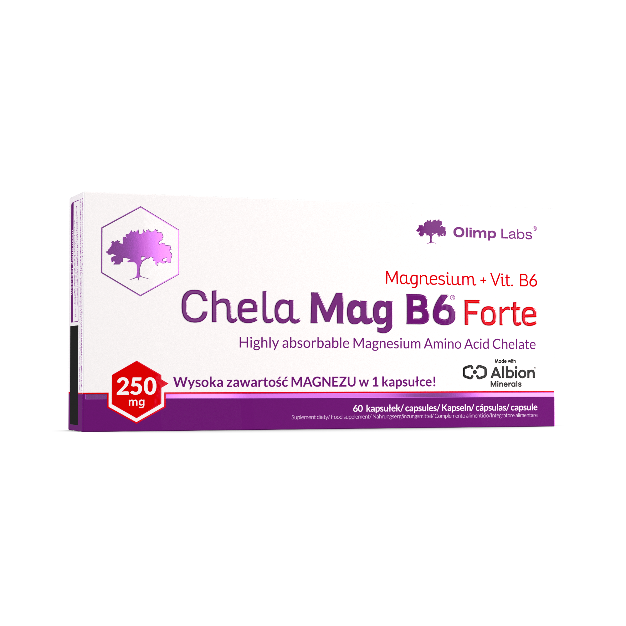 Chela-MagB6-Forte-kartonik-0037-wersja-13-0001-667132b3bb027.png