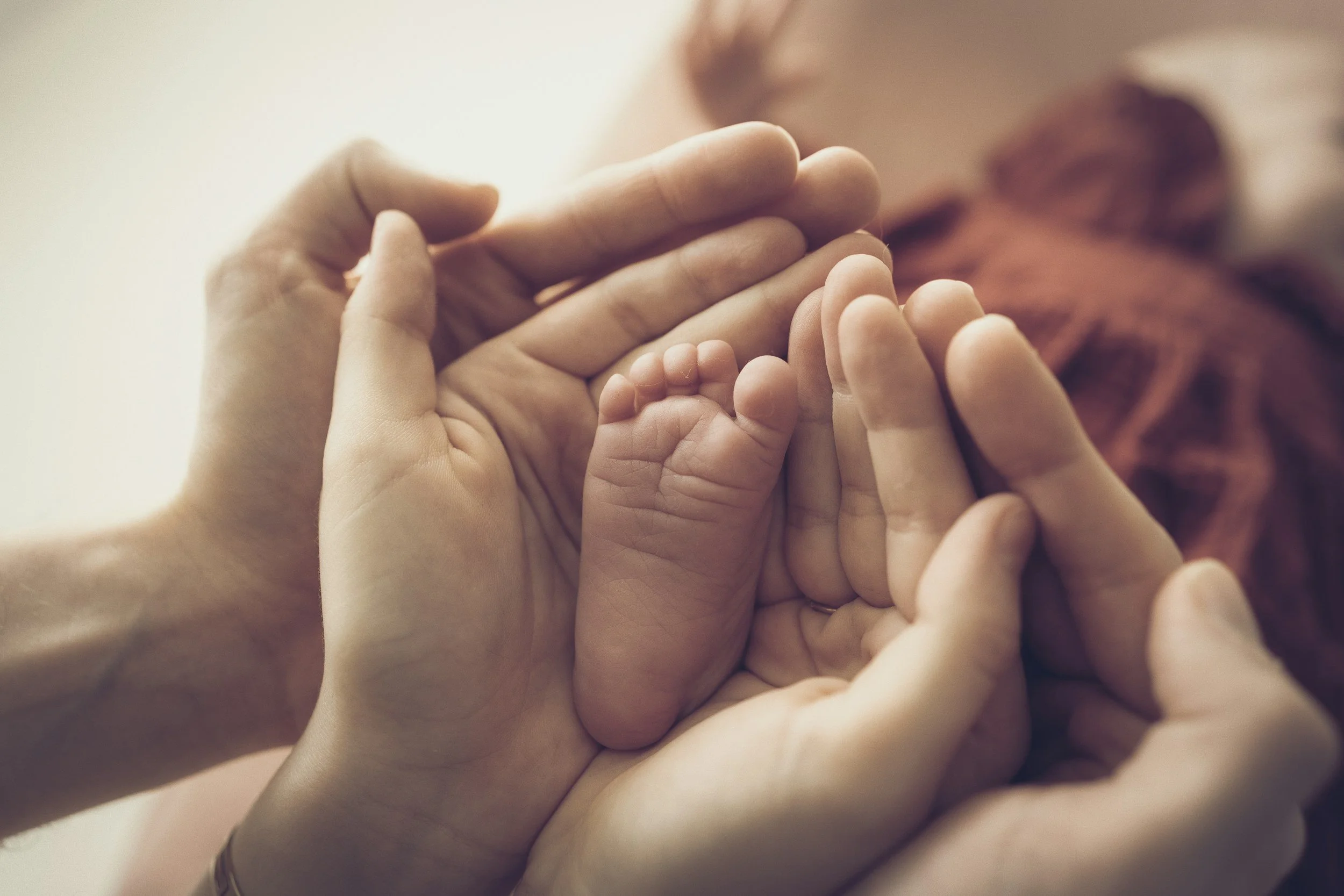 Close-up of a large adult hand holding a small baby's hand.