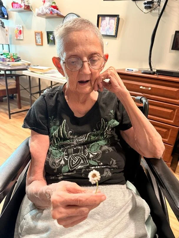 An elderly woman with glasses, sitting in a wheelchair, holding a small daisy flower, and looking at it with a thoughtful expression in a room with photos and decorations on the wall.