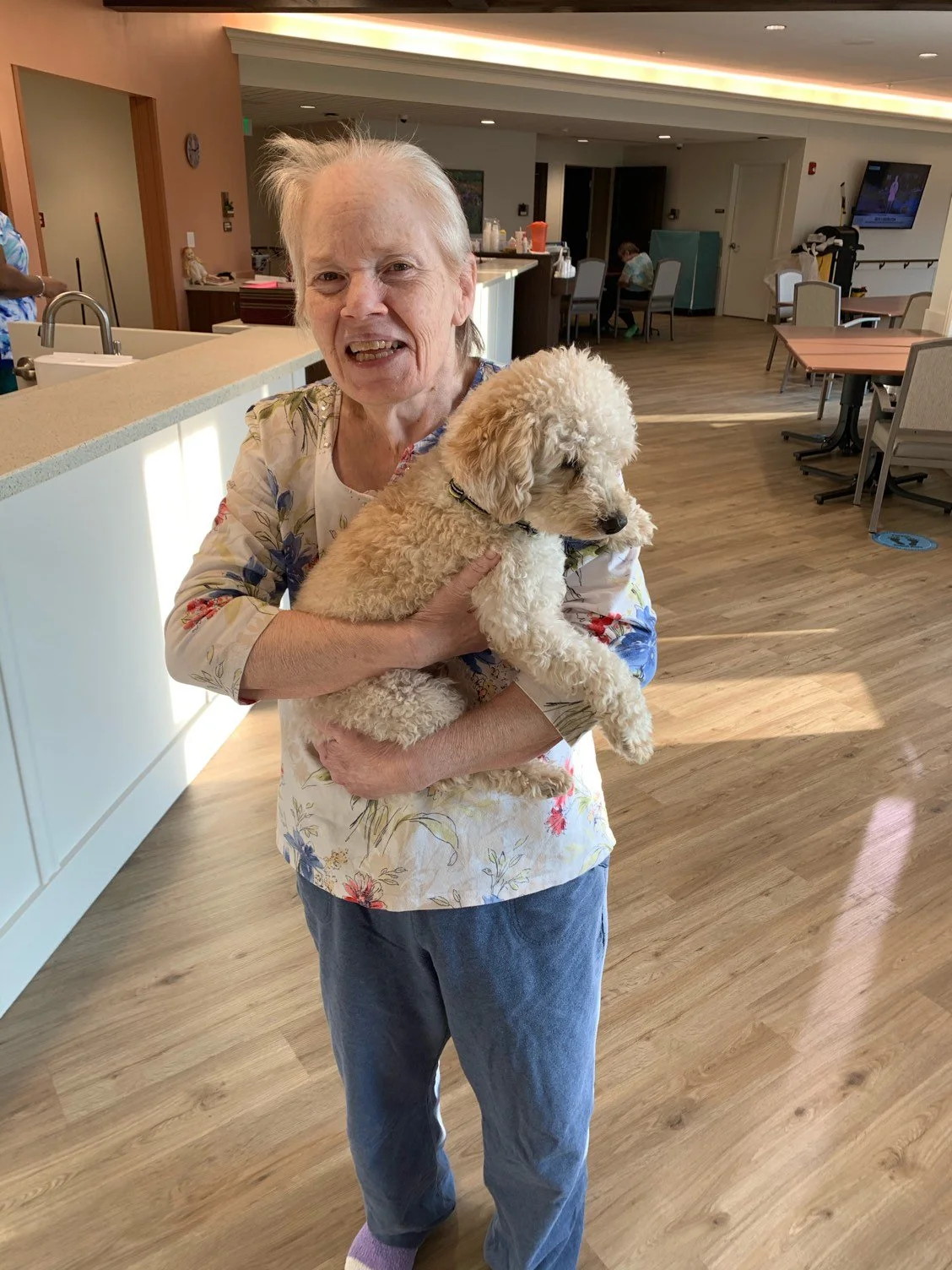 An elderly woman holding a small, curly-haired beige dog in a bright, modern room with wooden flooring, tables, and chairs.