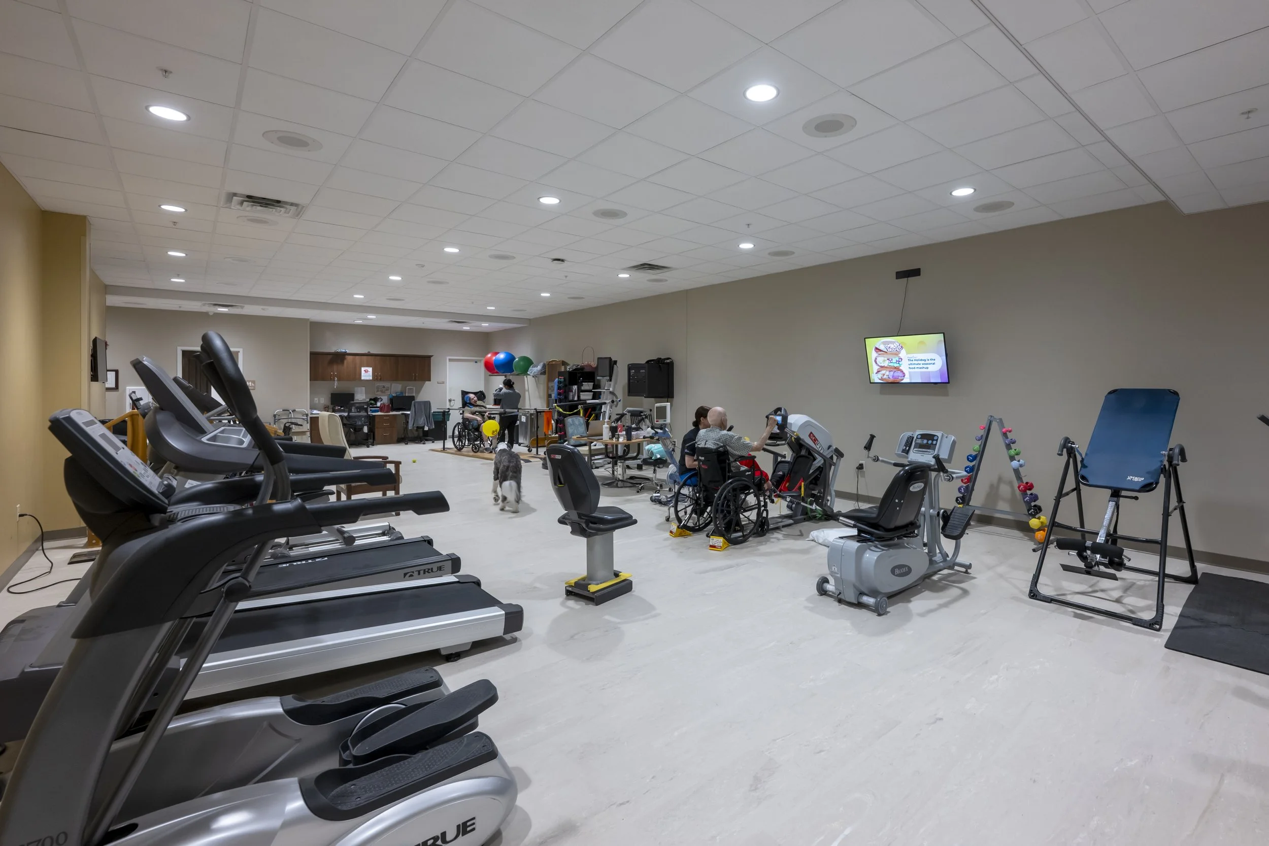 Gym room with treadmills in the foreground, various exercise equipment, and people using the equipment, including a person in a wheelchair. There are exercise balls and a wall-mounted screen displaying information.