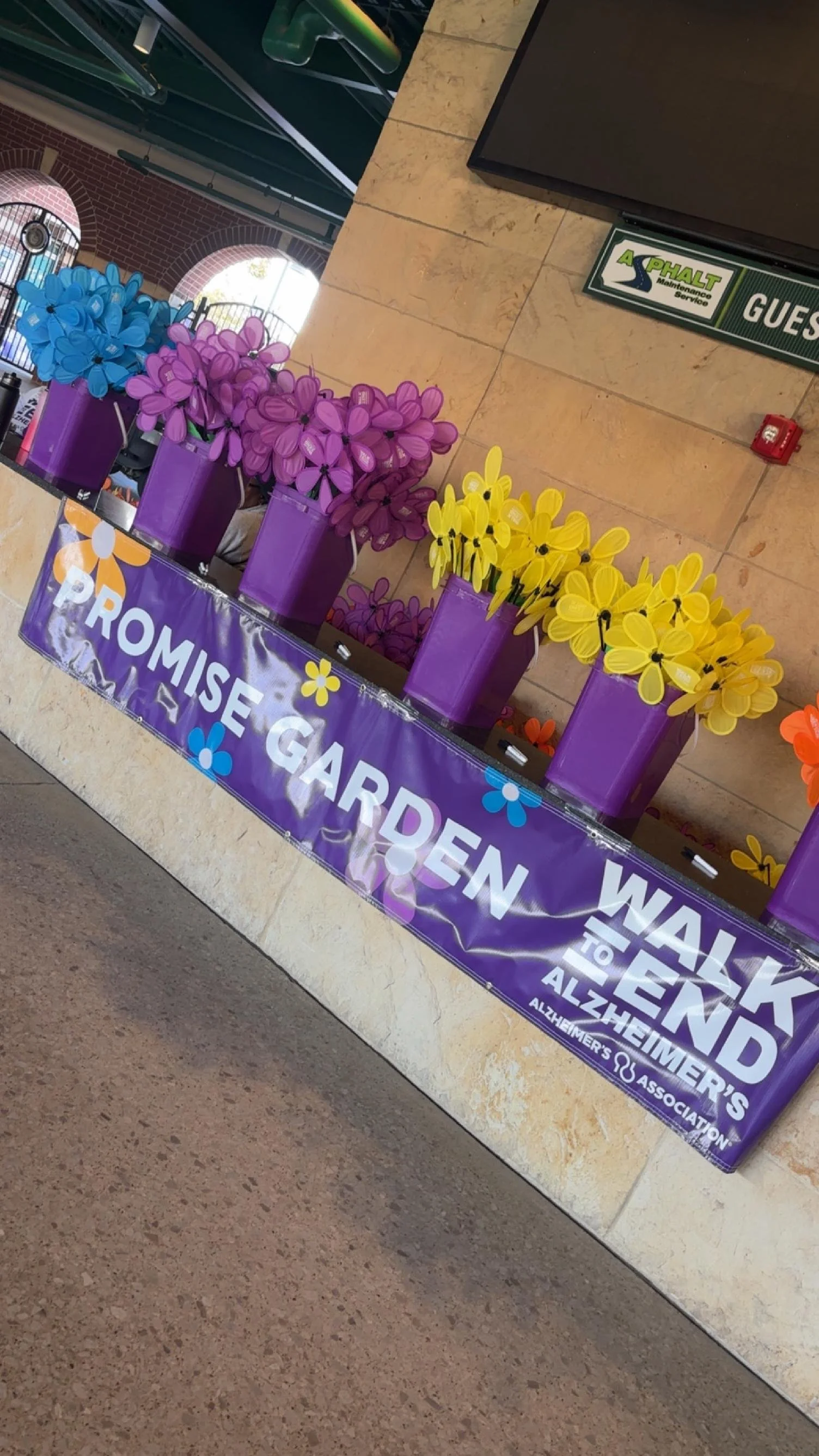 A display of colorful artificial flowers in purple pots on a table with a banner promoting Alzheimer's awareness. The banner reads 'PROMISE GARDEN WALK TO END ALZHEIMER'S' and features the Alzheimer's Association logo. The background includes archite