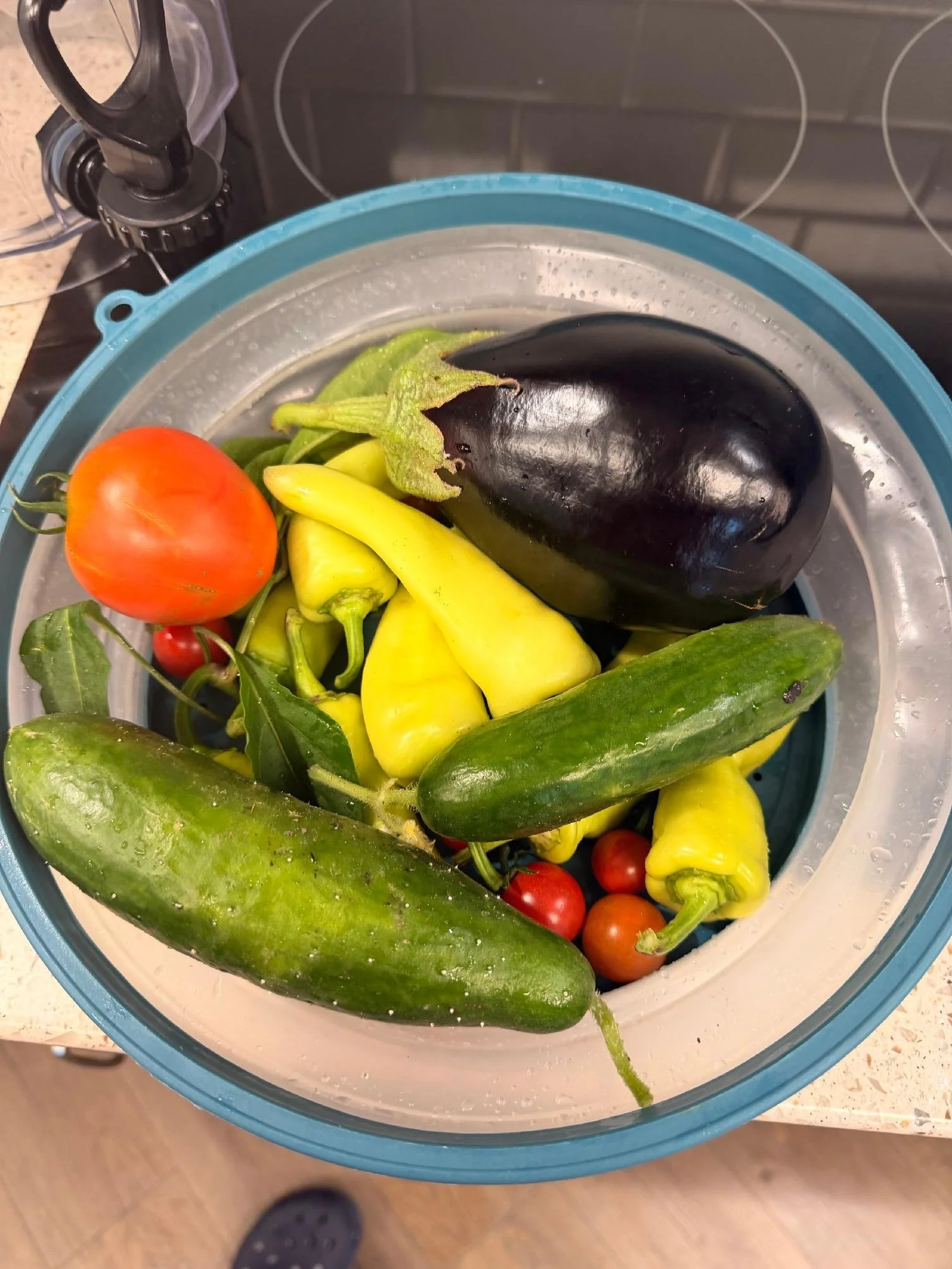 Variety of fresh vegetables including an eggplant, cucumber, yellow peppers, cherry tomatoes, and other peppers in a plastic container.