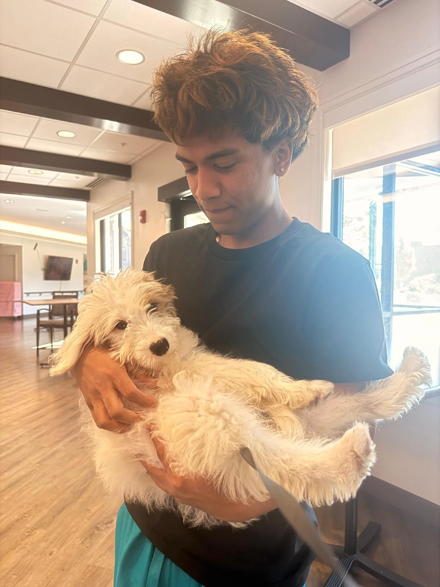 A young man with short, curly, reddish-brown hair is holding a light-colored, fluffy puppy. The man is indoors in a room with large windows and ceiling lights, wearing a black shirt and a turquoise apron.