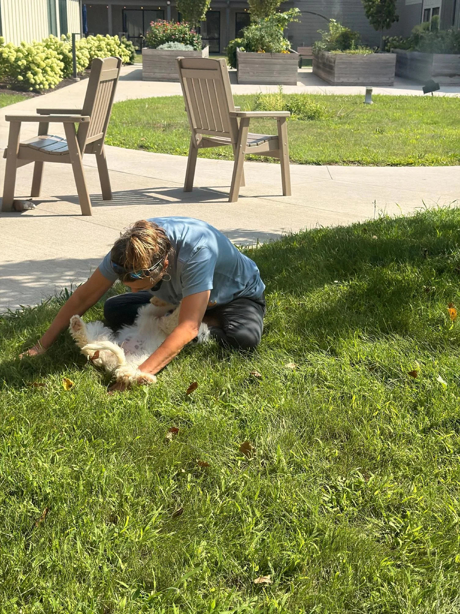 A person crouched on the grass petting a small fluffy white dog, in a park or yard with tables and chairs and potted plants in the background.