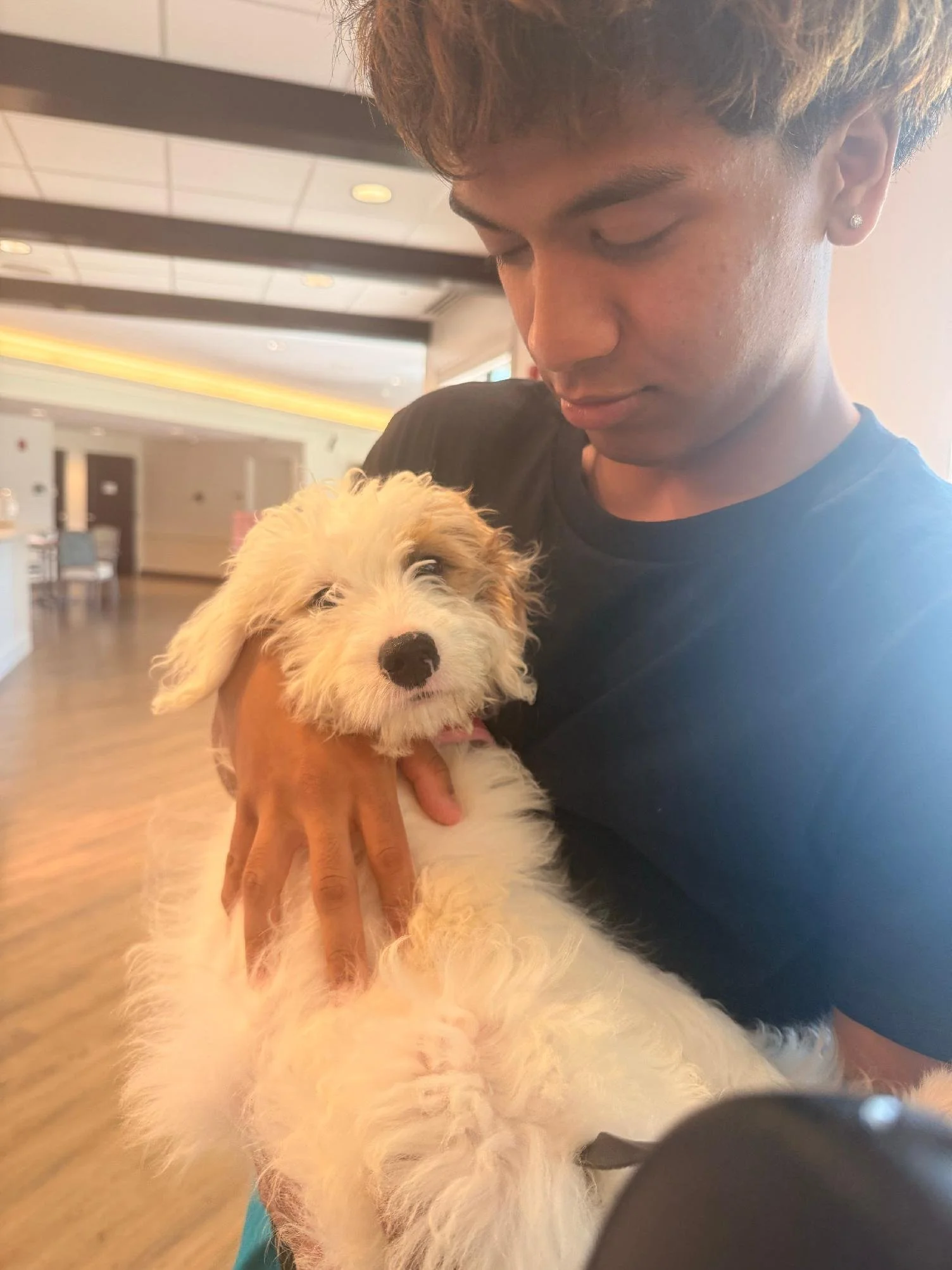 A young man holding a fluffy beige and white puppy in an indoor setting, with the man looking down at the dog and smiling.