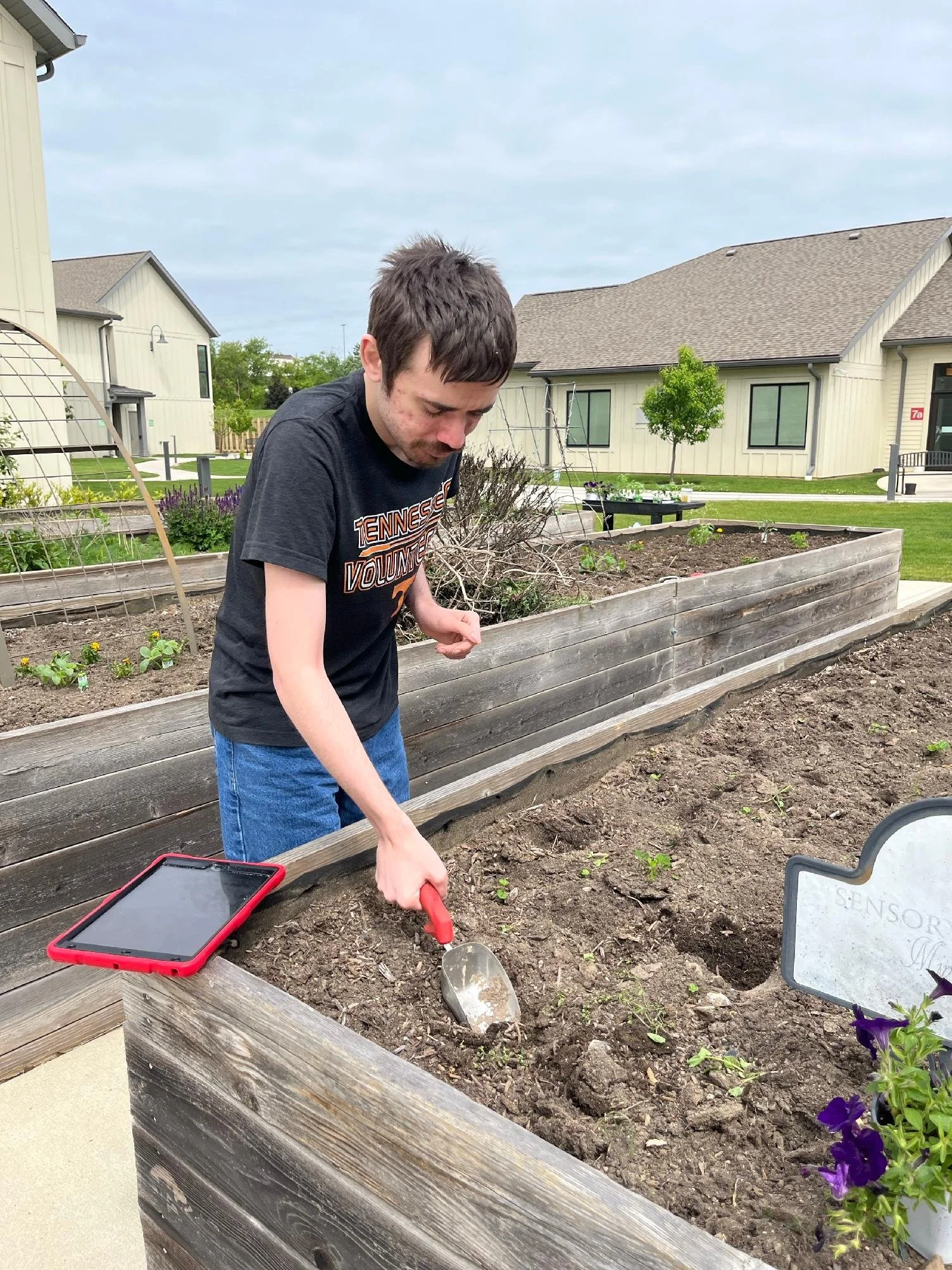 A young man is gardening in a raised wooden flower bed, using a small shovel. He is wearing a black Tennessee Volunteers t-shirt and blue jeans. There are other plants and gardening tools around him, with houses and trees in the background.