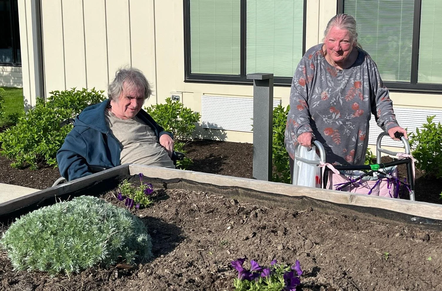 An elderly man sitting in a wheelchair next to a landscaped garden bed with purple flowers, and an elderly woman with a walker standing beside him, outside a building with large windows.