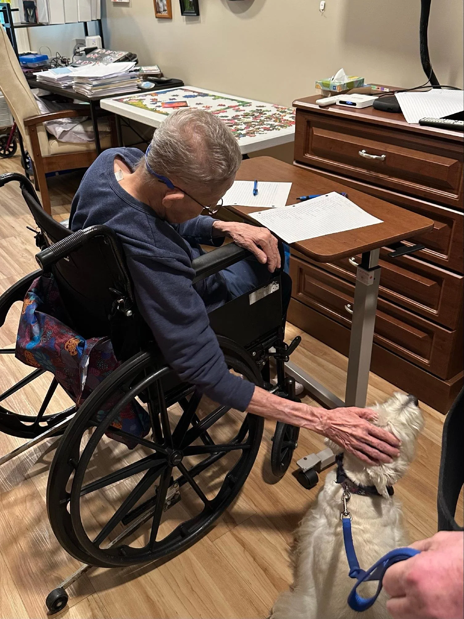 An elderly man in a wheelchair petting a small, fluffy white dog with a blue leash in a room with wooden floors, a wooden dresser, and a cluttered desk with papers and puzzles.