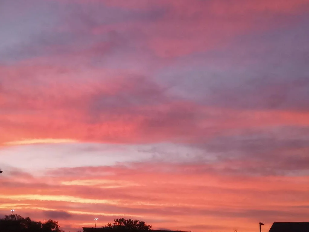 A colorful sunset sky with pink, purple, and orange clouds above a silhouette of trees and rooftops.