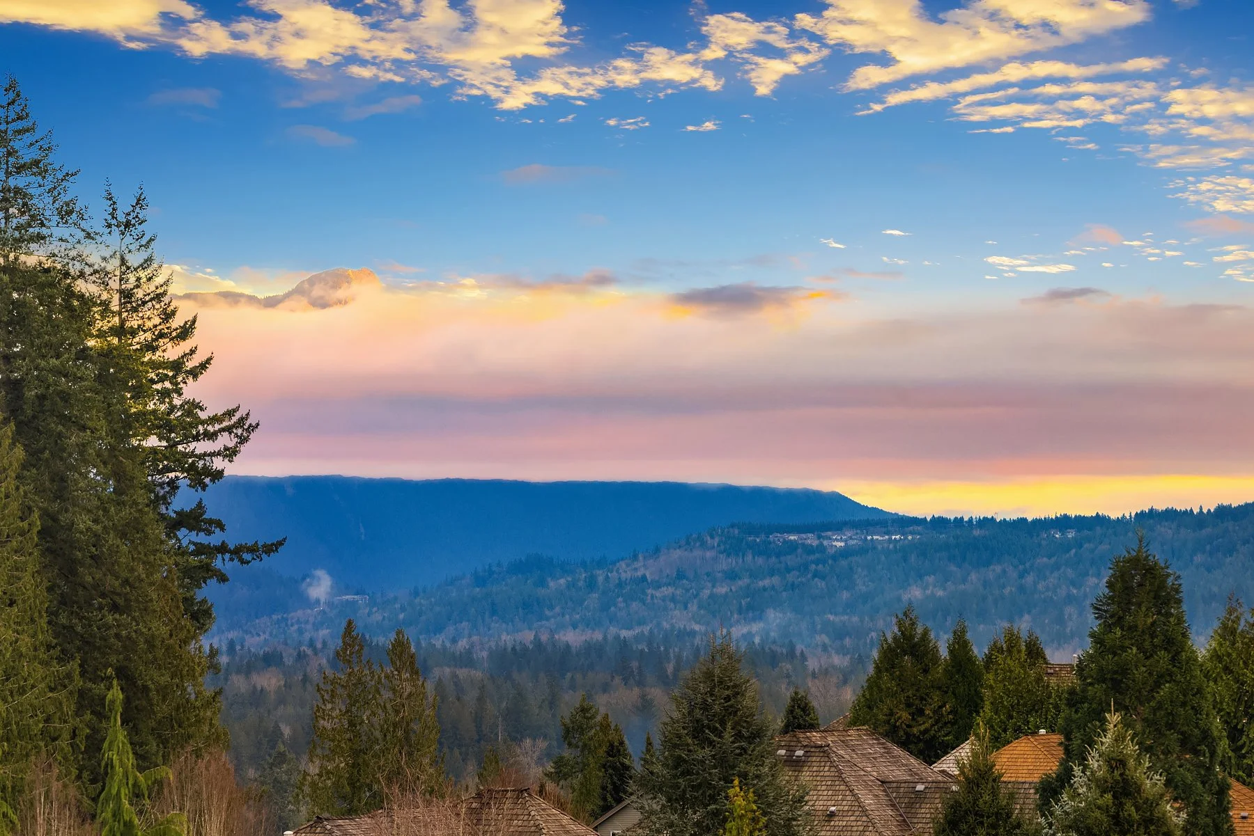 Web_74.jpg