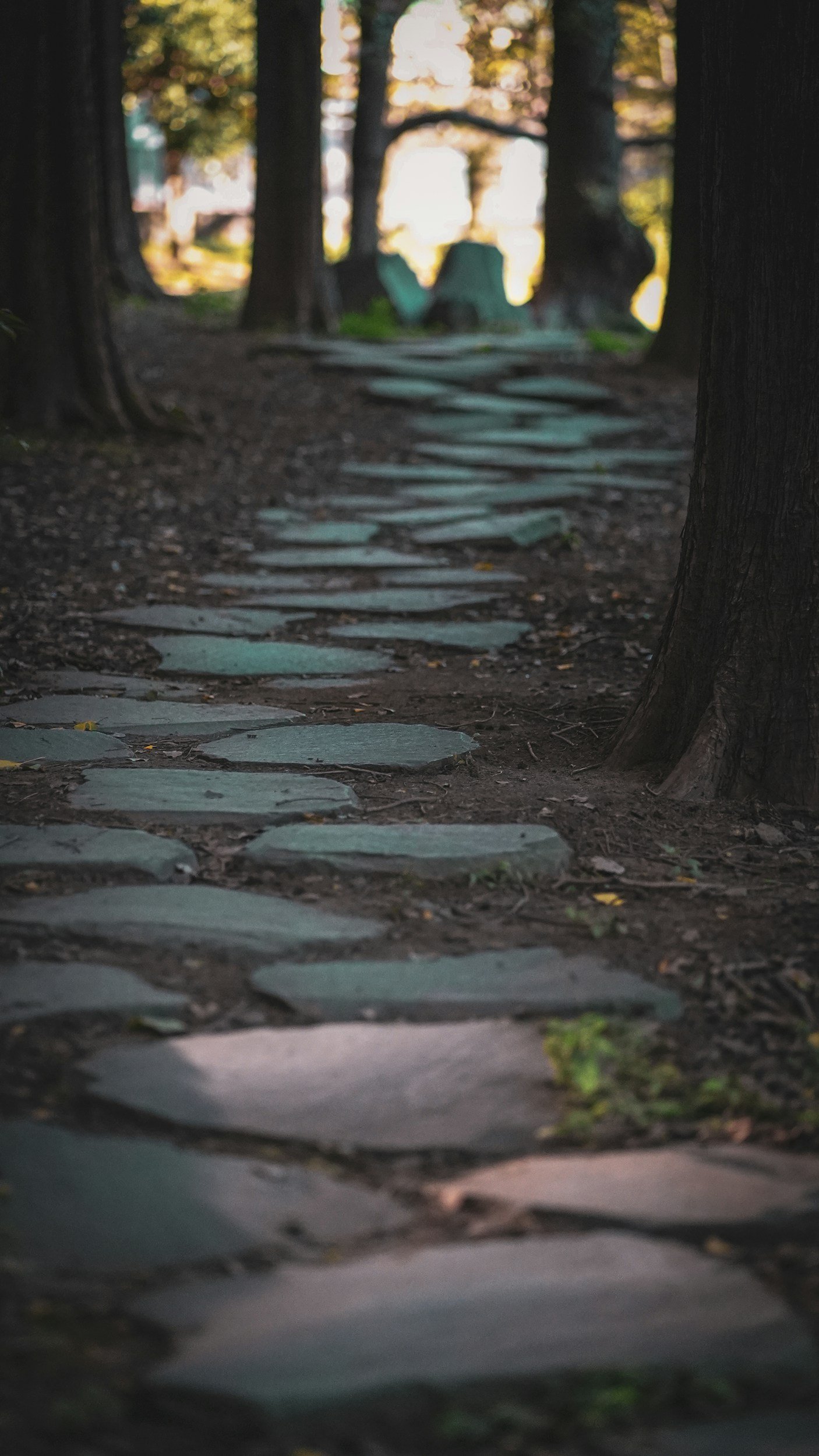 A stone pathway through a wooded area, with trees on both sides and sunlight filtering through the leaves.