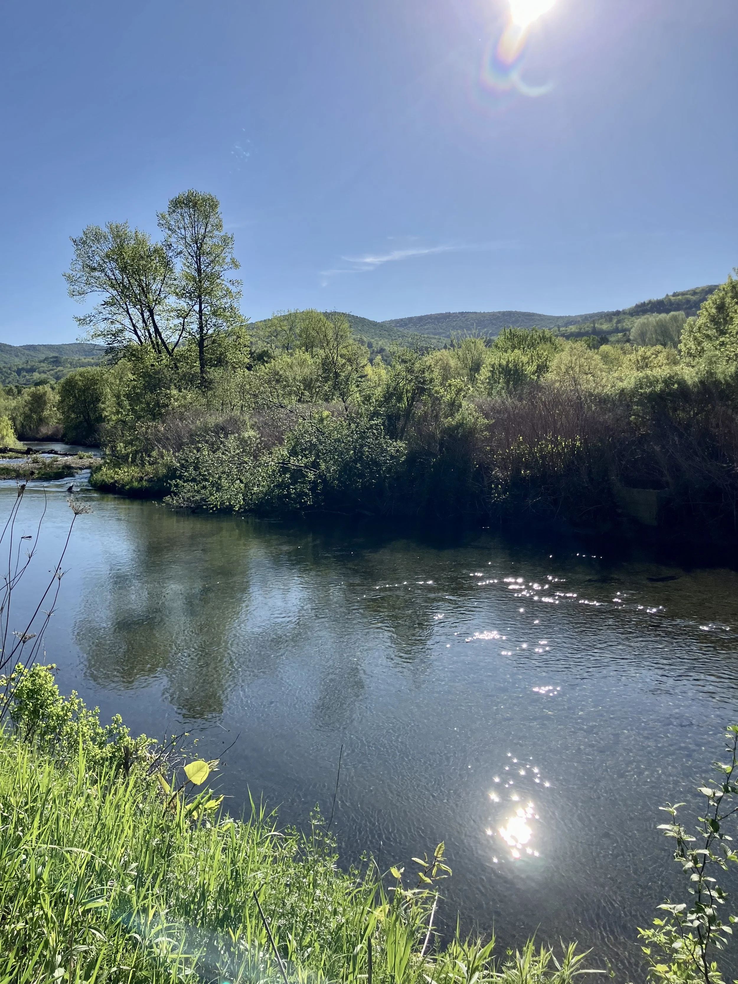 A serene river flows through lush green vegetation with trees and hills in the background under a clear blue sky, and the sun shining brightly in the upper right corner.