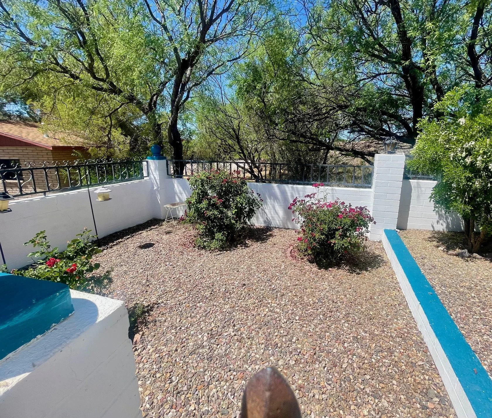 Private Courtyard Garden

A Hidden Garden Retreat
Step into a private courtyard filled with flowering desert plants, mature trees, and peaceful garden spaces. Surrounded by colorful landscaping and Southwestern details, it's a wonderful place to rela