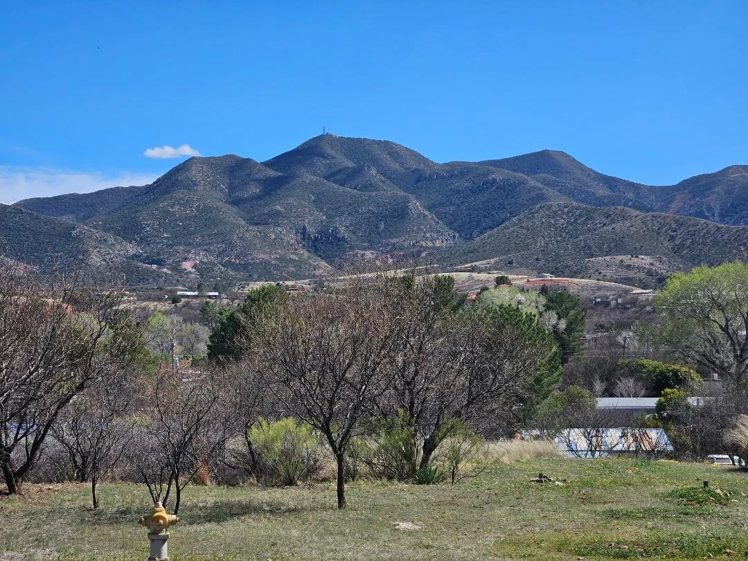 Mountains with sparse vegetation in the background, trees in the foreground, and a clear blue sky.