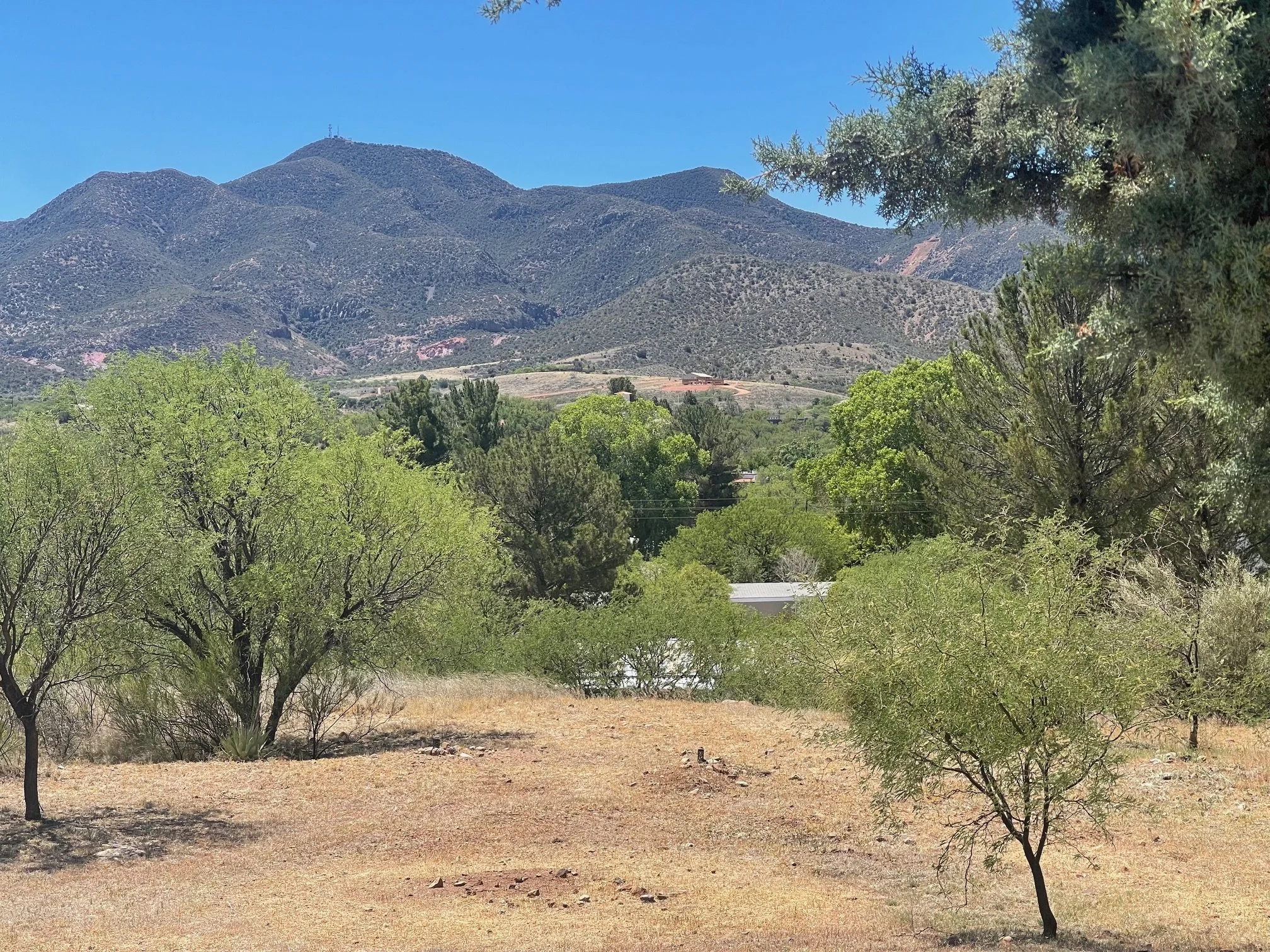 Mountain View

Beautiful Mountain Views
Enjoy stunning views of the surrounding mountains and high desert landscape from the property. Native vegetation, mature trees, and rolling foothills create a peaceful setting that showcases the natural beauty 