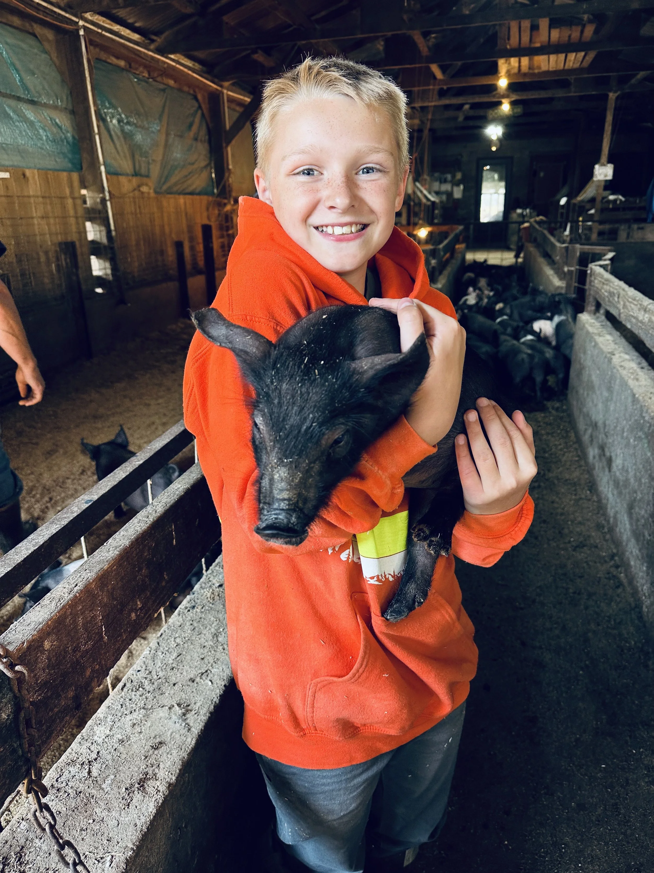 A young boy smiling and holding a black piglet inside a barn. The boy is wearing an orange hoodie and blue jeans, with a concrete and wooden structure surrounding him.