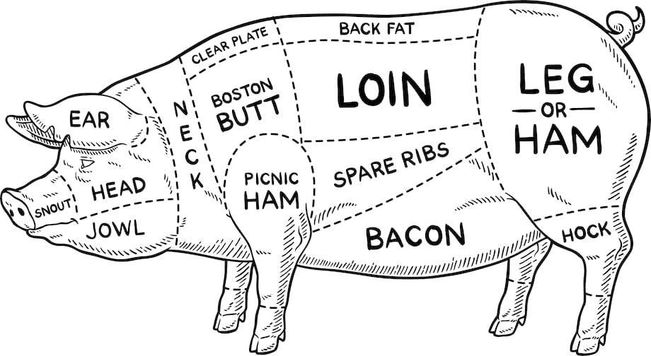 Diagram of a pig showing butchery cuts labeled as head, jowl, ear, back fat, liver, kidney, Boston butt, picnic ham, spare ribs, loin, bacon, ham, and hock.
