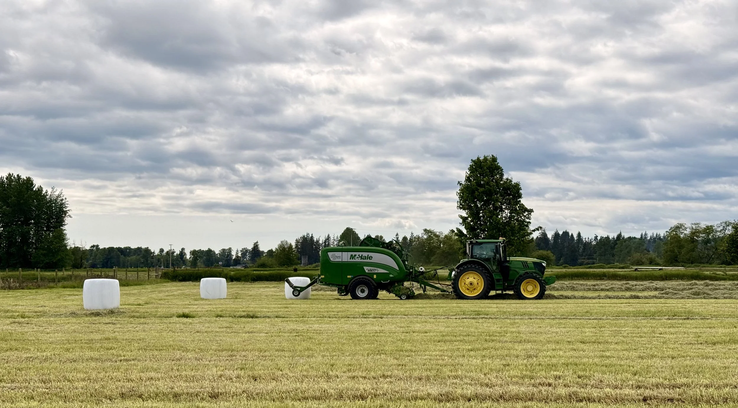 Green tractor pulling a round baler in a field, with large white hay bales and trees in the background under a cloudy sky.