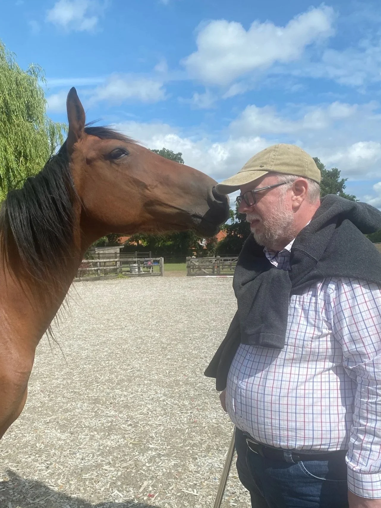 A mare curious with a human