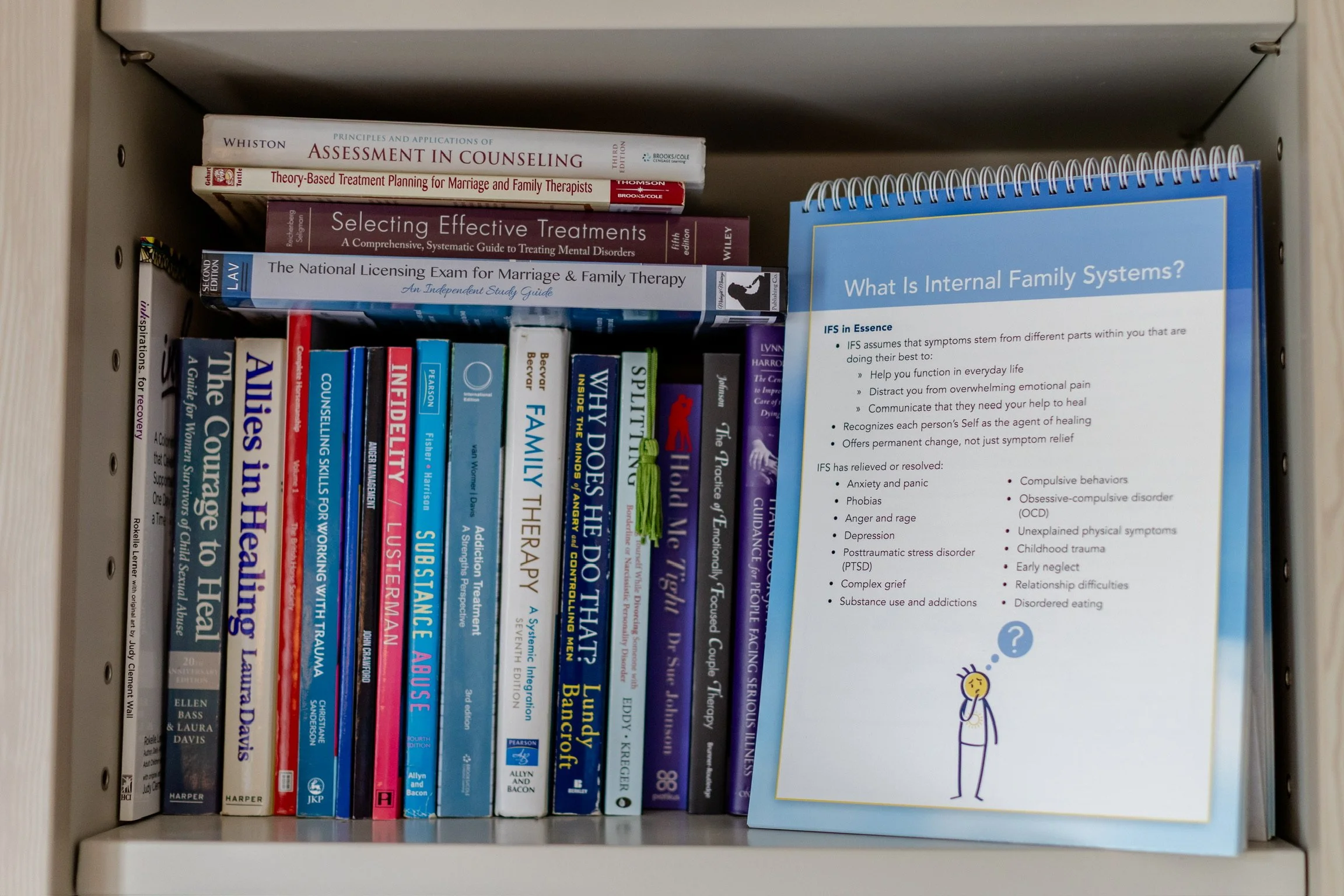 Book shelf Jo-Anne Karlsson and what is iFS