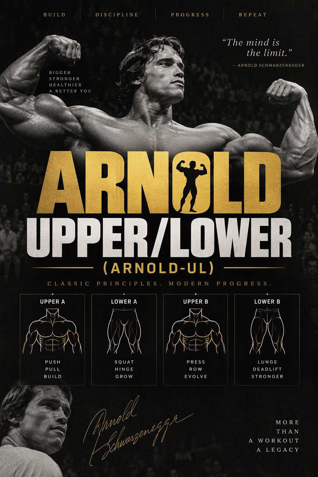 Arnold-Upper/Lower (Arnold-U/L) Training Split