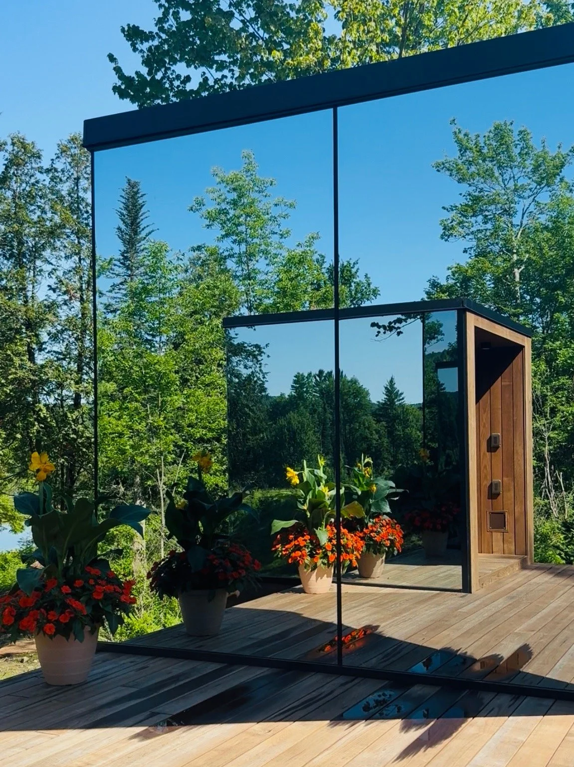 flower reflection.jpg