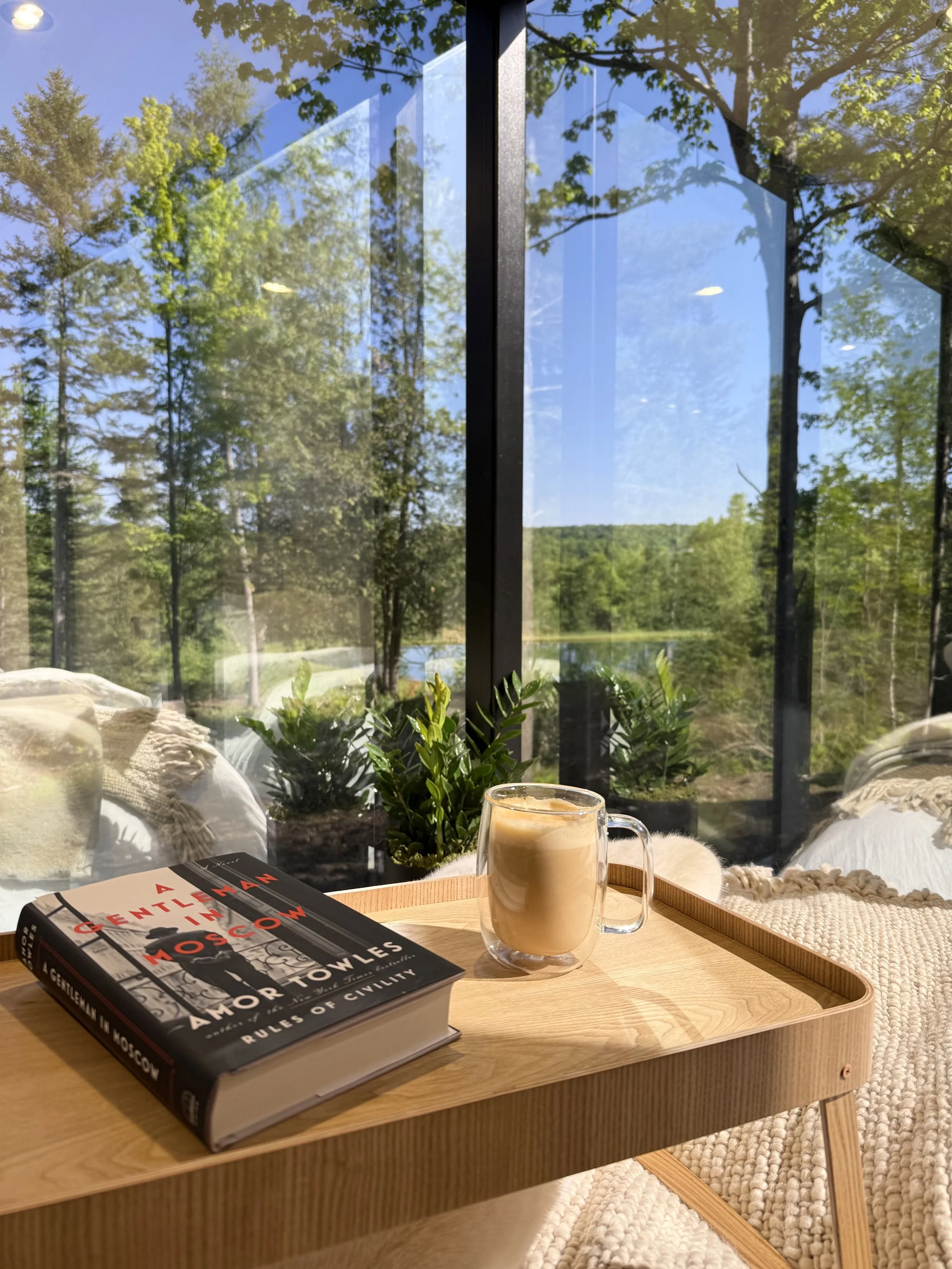 A wooden table with a book titled 'A Gentleman in Moscow,' a glass mug of coffee, a tray, a blanket, and green plants. Behind the table, a large window shows trees and a blue sky outside.