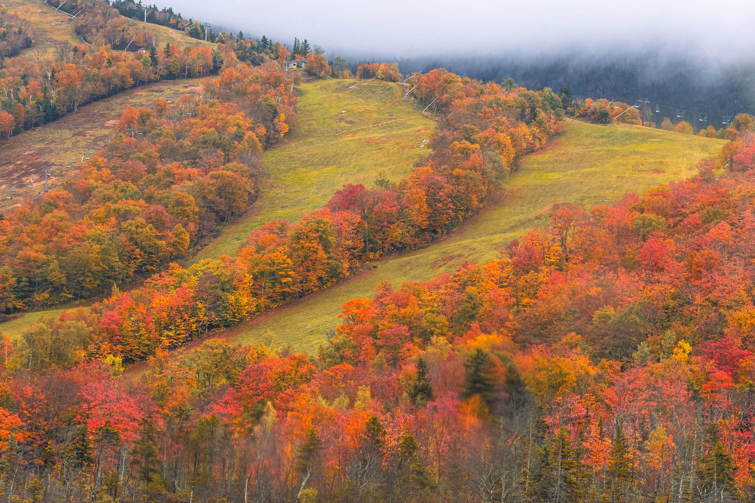 A mountainside with trees in vibrant fall colors, a grassy clearing, and ski lift infrastructure at the top, shrouded in fog.