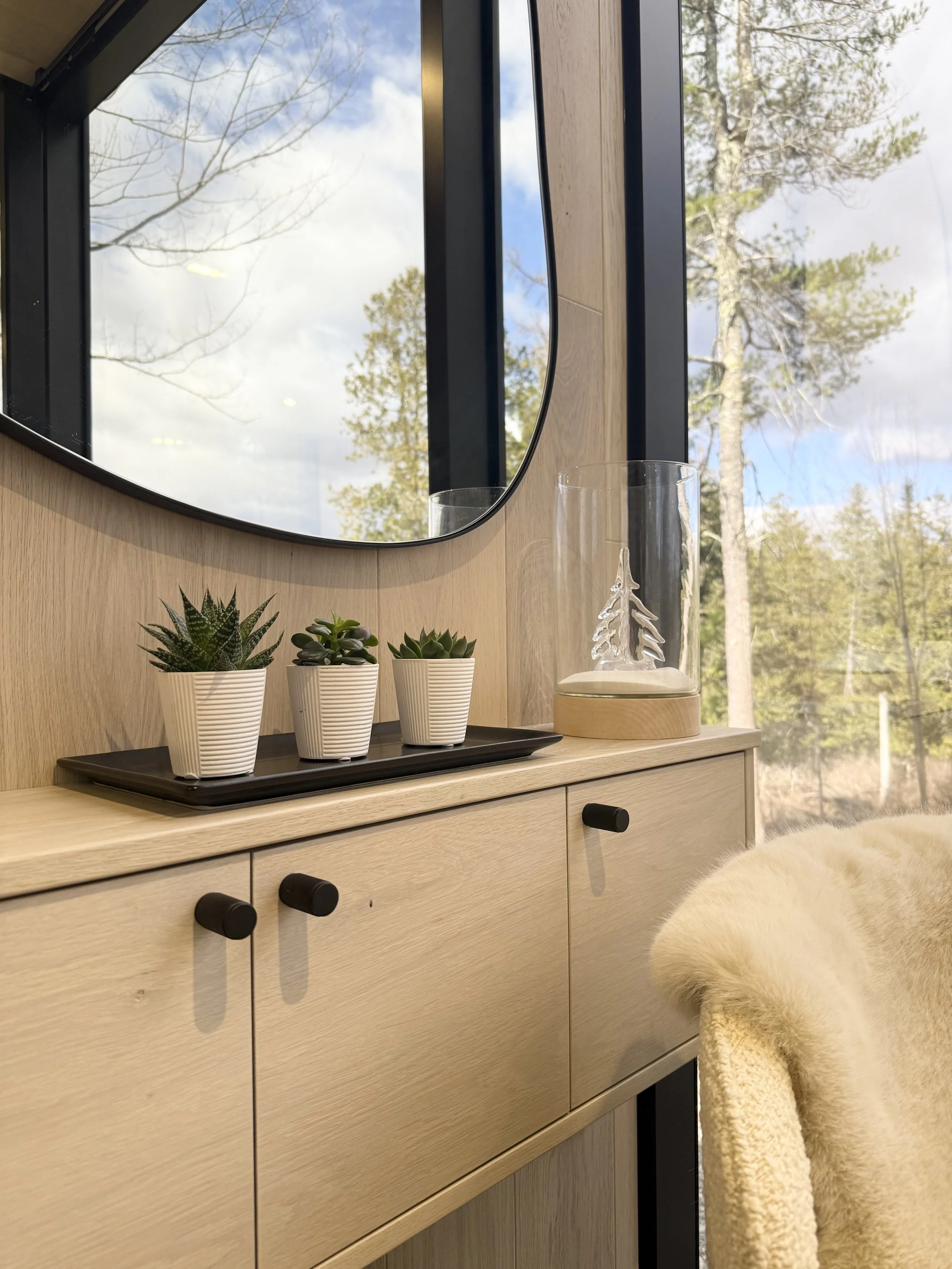 A wooden dresser with black knobs, decorated with three potted succulent plants on a tray, a glass container with a small white decorative tree inside, and a fluffy beige throw hanging off the side. A large mirror behind the dresser reflects trees an