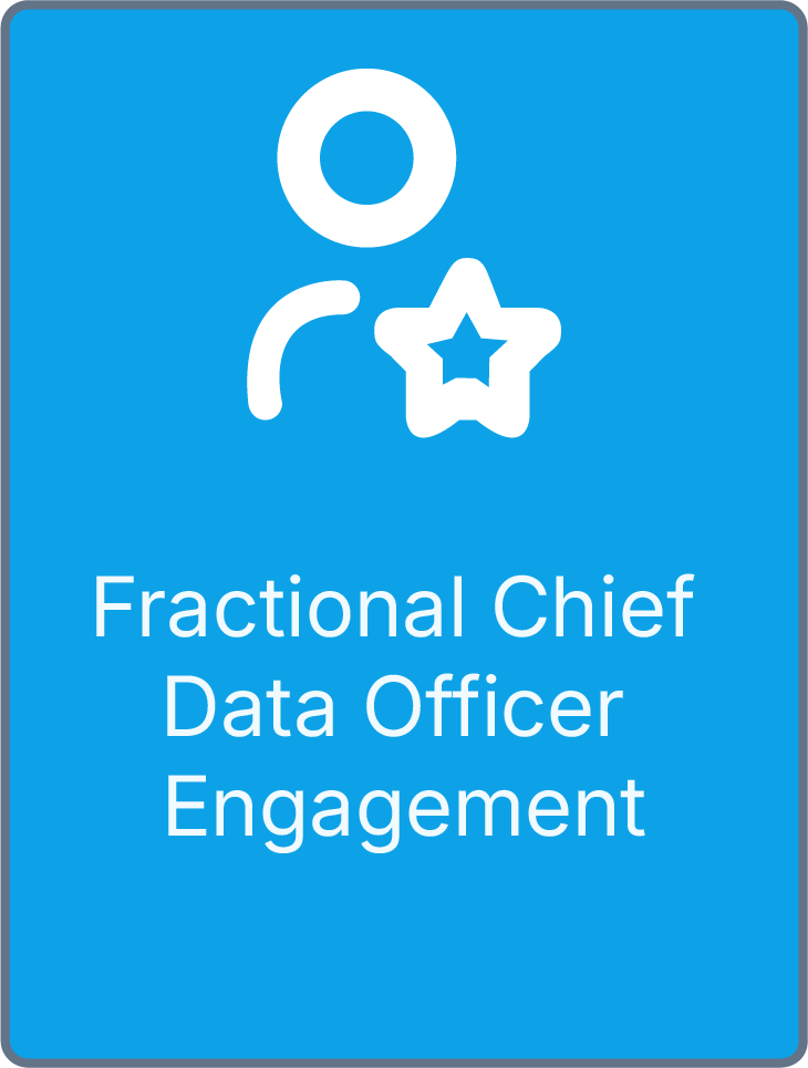 Name badge with blue background displaying the title 'Fractional Chief Data Officer Engagement' along with icons of a person and star