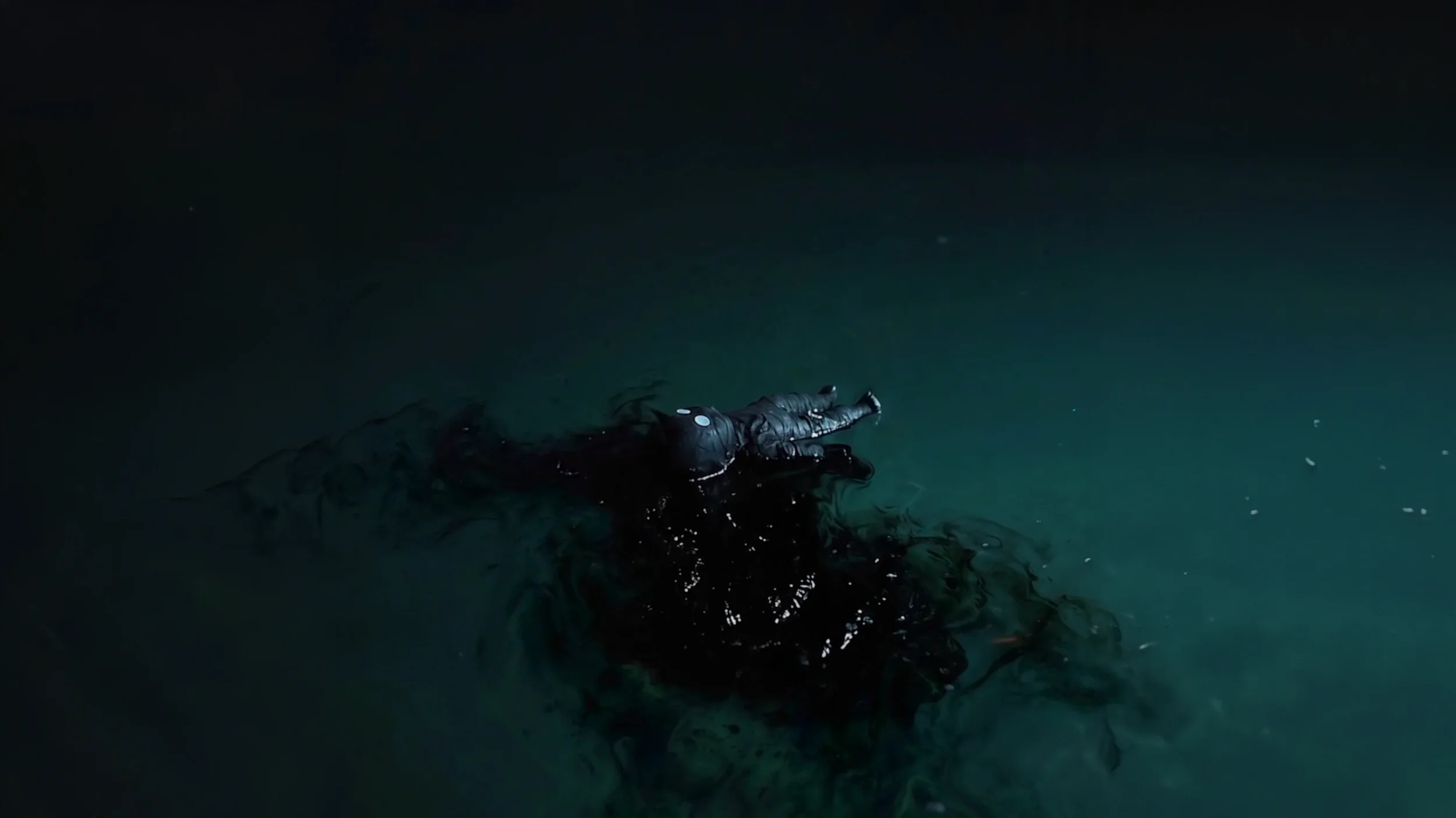 A person in dark clothing and a baby doll floating face down in dark water at night.