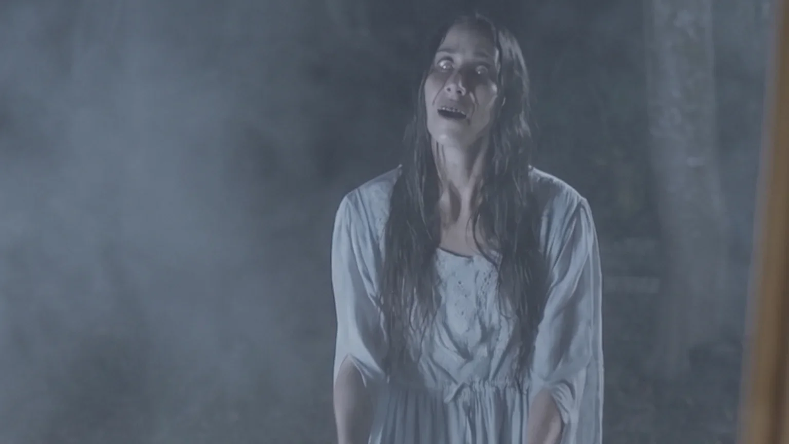 A woman with long wet hair and a distressed expression, wearing a light-colored nightgown, is looking through a foggy or misted glass window.