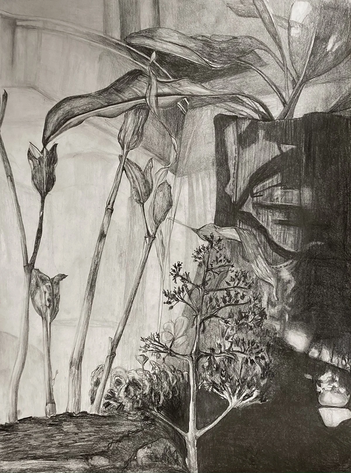 Stillness, graphite, 18"x 24", 2023