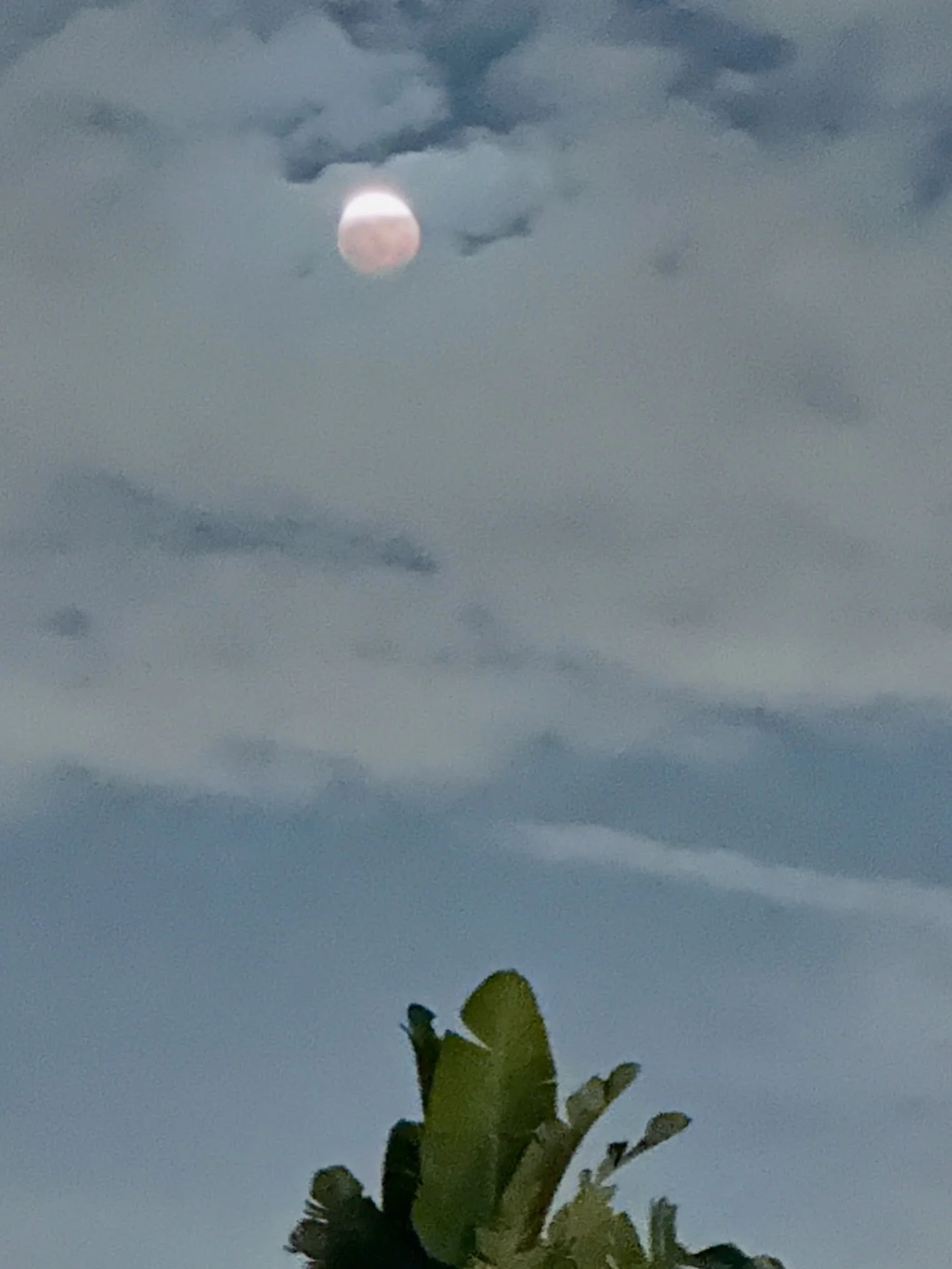 Light + Grace #eclipse #picesmoon #newbeginnings #powerfulenergy #fullmoon
