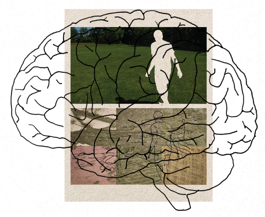 The image shows a graphic of a human brain outline with two overlapping rectangular photographs inside it. The top photograph features a person walking on a grassy field with trees in the background. The bottom photograph depicts a person kayaking in a body of water.