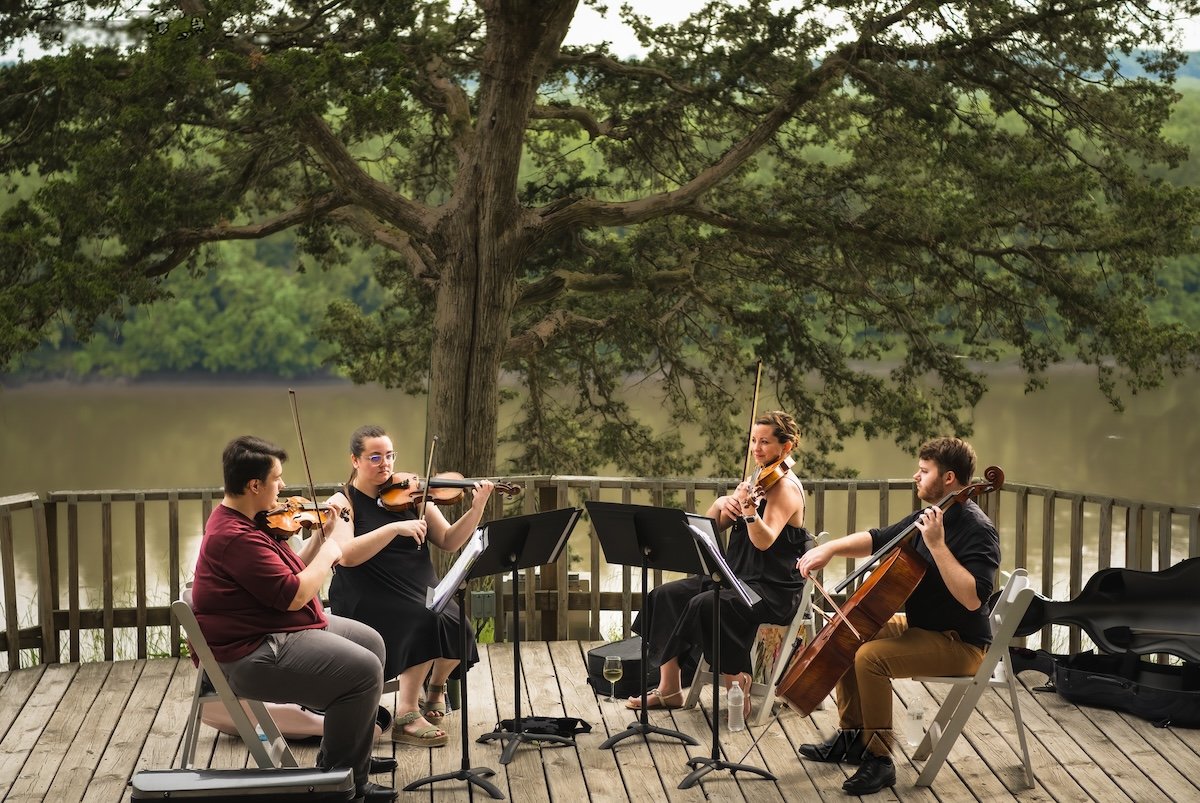 Group of four musicians playing string instruments outdoors on wooden deck near water, with large tree in background.