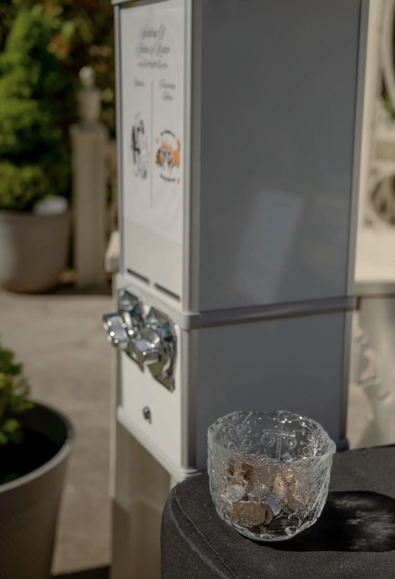 A glass bowl with decorative patterns filled with coins and paper currency, placed on a dark surface, with a sticker dispenser and a potted plant in the background.