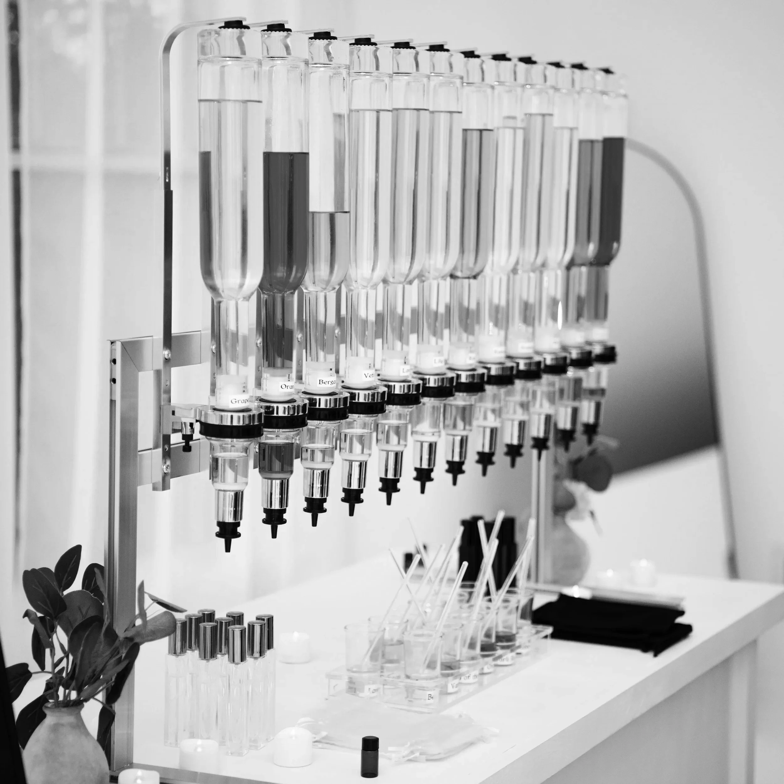 A scientific laboratory setup with multiple test tubes filled with clear liquid, organized in a rack. There are small containers and a vase with leaves on the white laboratory bench.