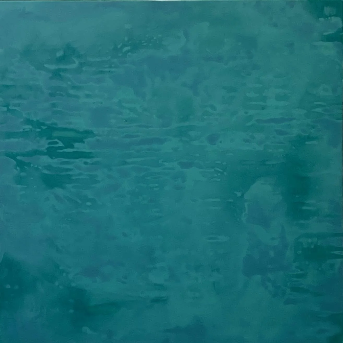 Take the Plunge